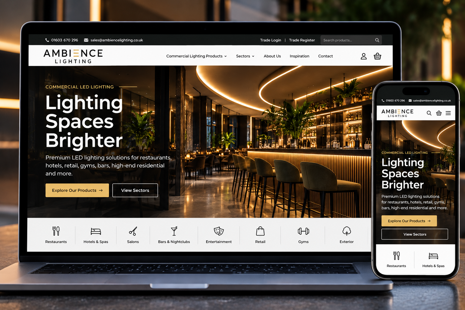 AMBIENCE LIGHTING